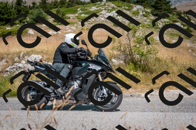 202507051057-DSC_4095_c2