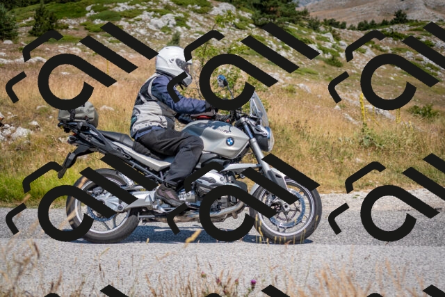 202507051058-DSC_4099_c2