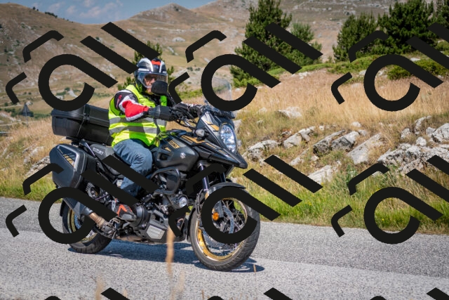 202507051100-DSC_4105_c2