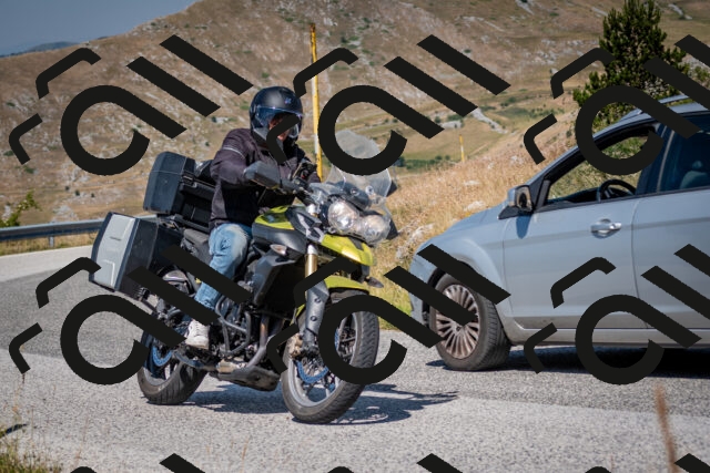 202507051100-DSC_4112_c2