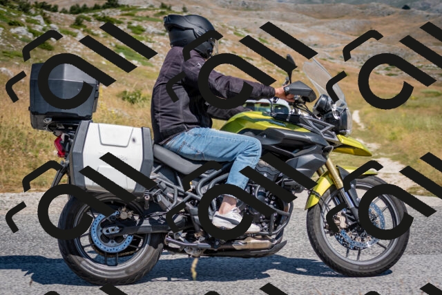 202507051100-DSC_4113_c2