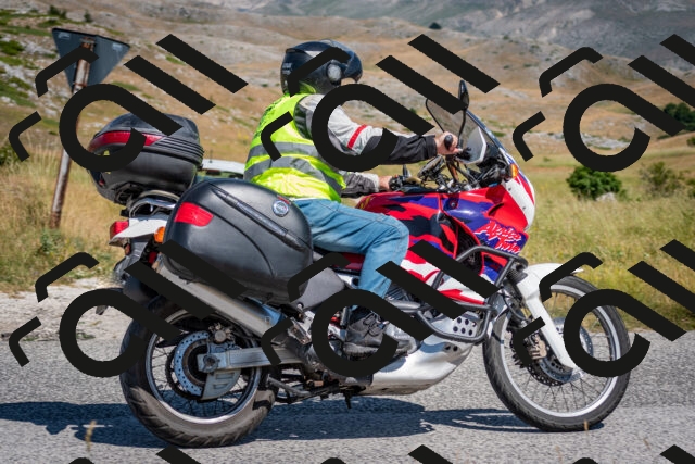 202507051100-DSC_4114_c2