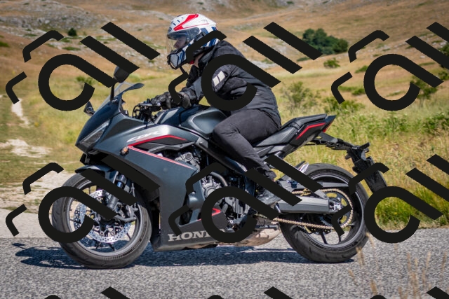 202507051103-DSC_4121_c2