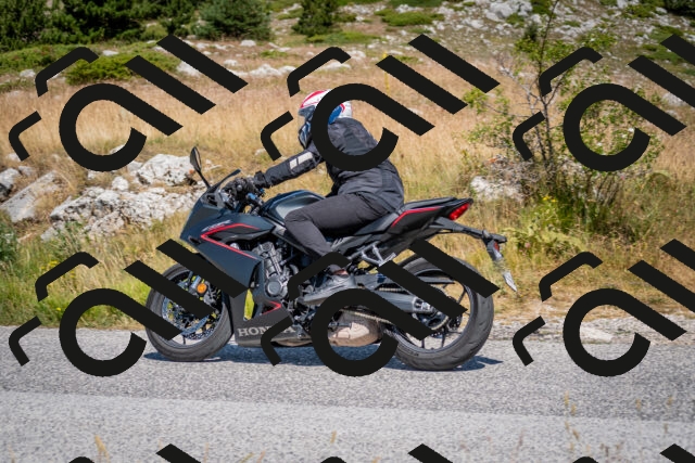 202507051103-DSC_4122_c2