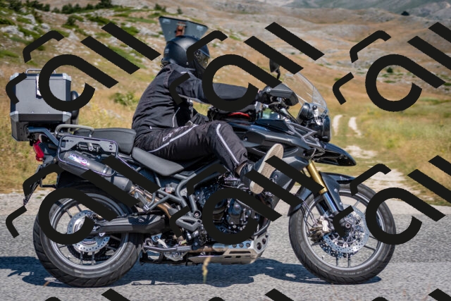 202507051121-DSC_4133_c2