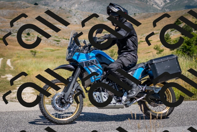 202507051124-DSC_4142_c2