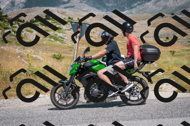 202507051125-DSC_4145_c2