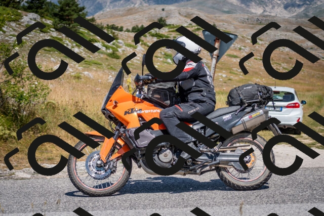 202507051131-DSC_4157_c2