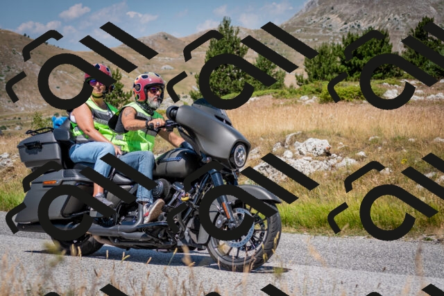 202507051138-DSC_4172_c2