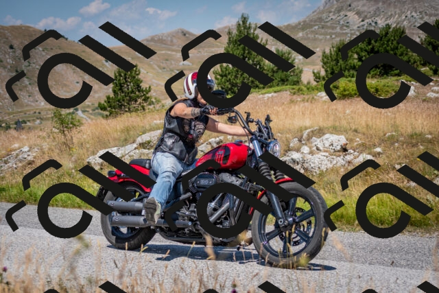 202507051138-DSC_4174_c2