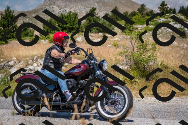 202507051138-DSC_4176_c2