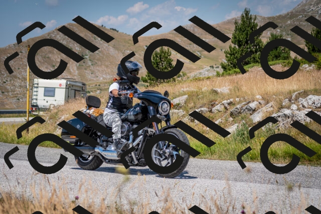 202507051138-DSC_4177_c2