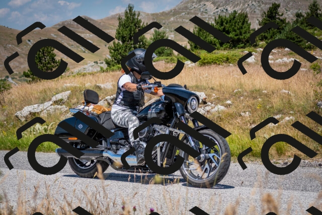 202507051138-DSC_4178_c2