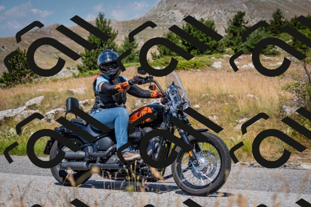 202507051138-DSC_4179_c2