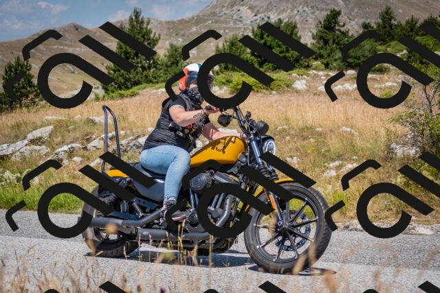 202507051138-DSC_4182_c2