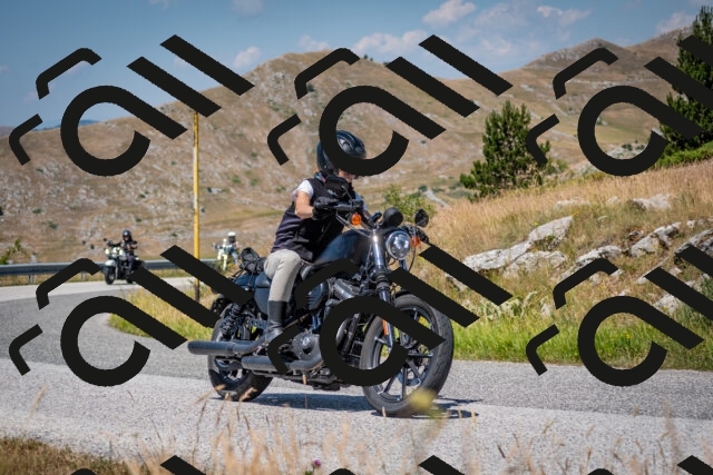 202507051138-DSC_4183_c2