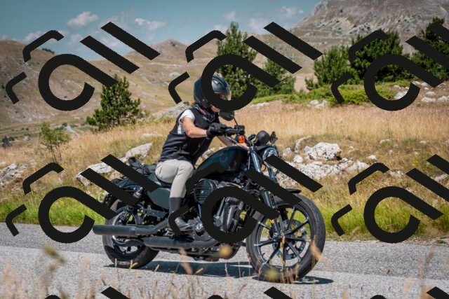 202507051138-DSC_4184_c2