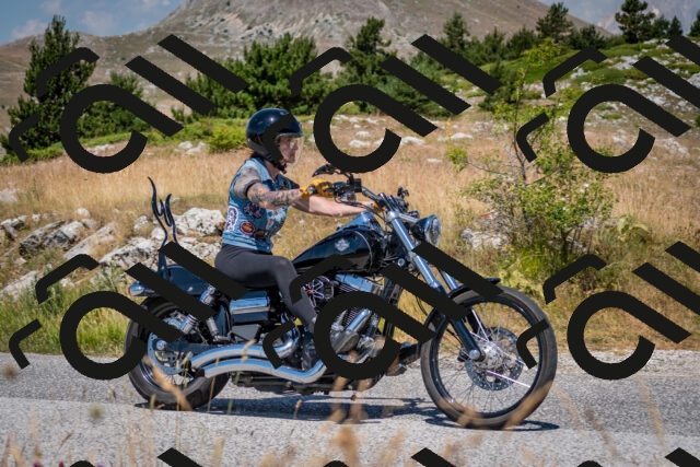 202507051138-DSC_4186_c2