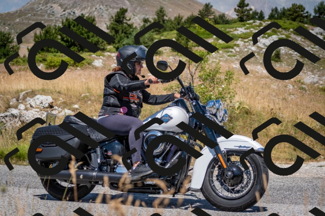 202507051138-DSC_4188_c2