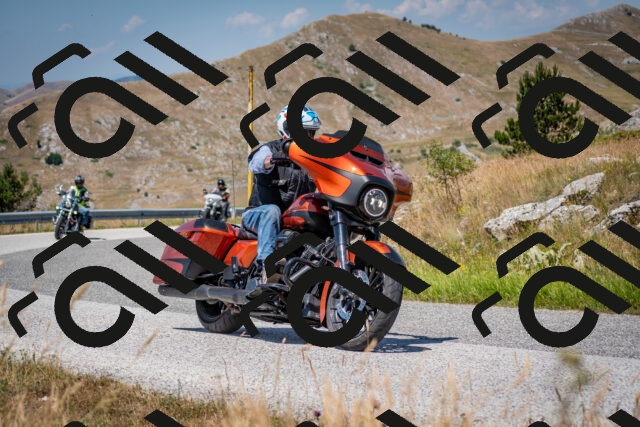 202507051138-DSC_4190_c2