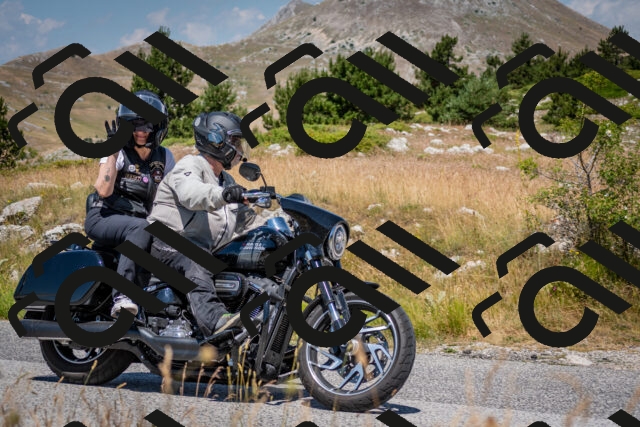 202507051138-DSC_4192_c2