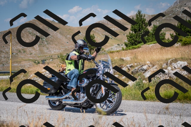 202507051138-DSC_4193_c2