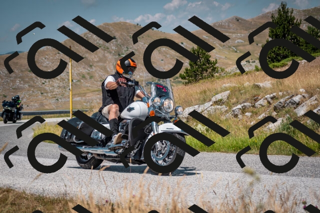 202507051139-DSC_4200_c2