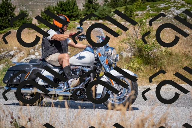 202507051139-DSC_4201_c2