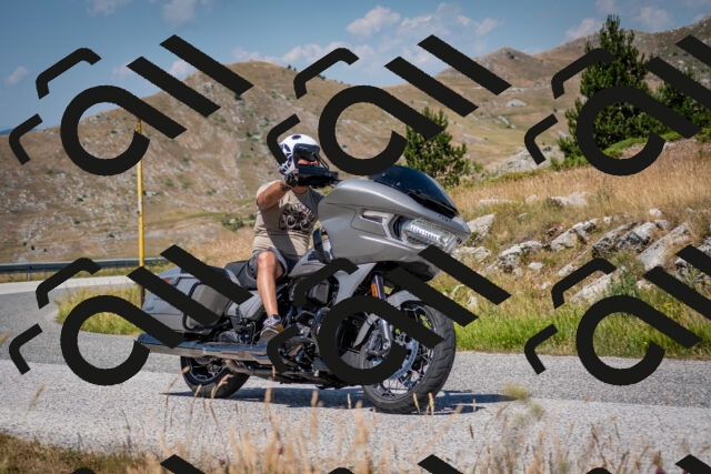 202507051139-DSC_4202_c2