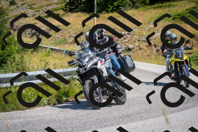 202507051145-DSC_4215_c2