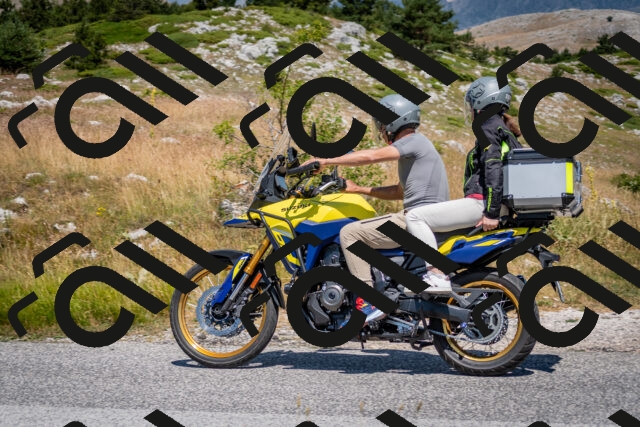 202507051145-DSC_4219_c2