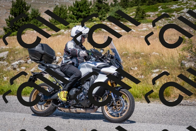 202507051145-DSC_4226_c2