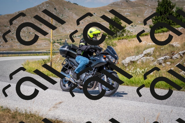 202507051145-DSC_4229_c2