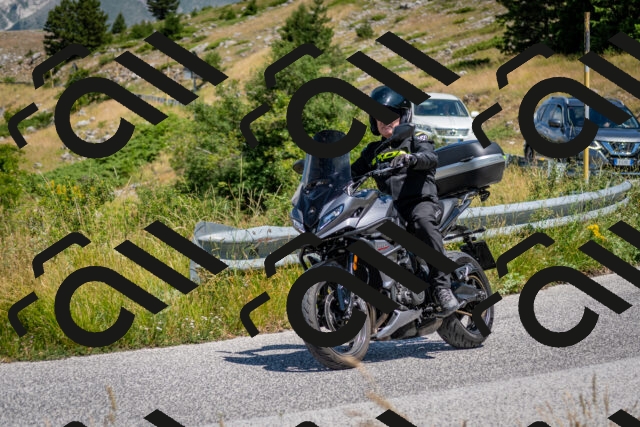 202507051149-DSC_4235_c2