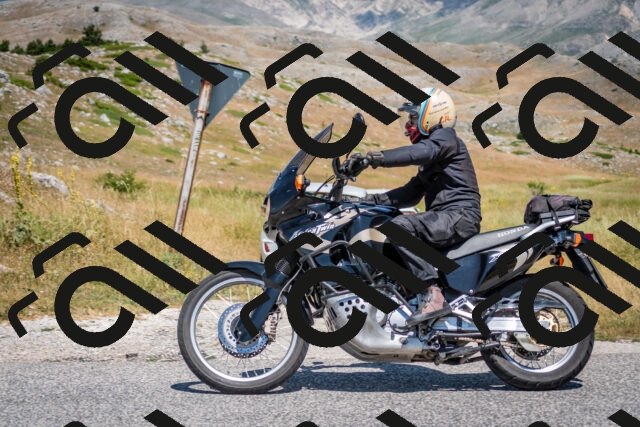 202507051155-DSC_4252_c2