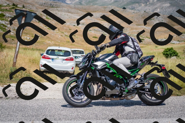 202507051216-DSC_4278_c2