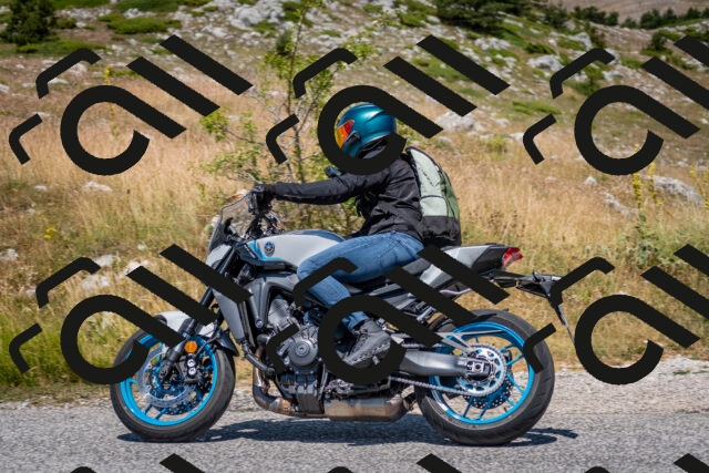 202507051216-DSC_4281_c2