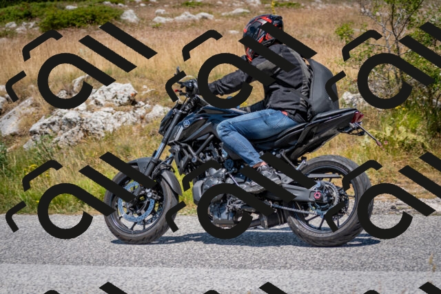 202507051221-DSC_4292_c2