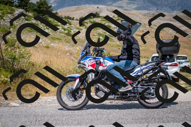 202507051224-DSC_4303_c2