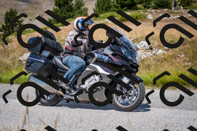 202507051228-DSC_4313_c2