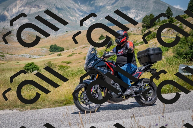 202507051231-DSC_4322_c2