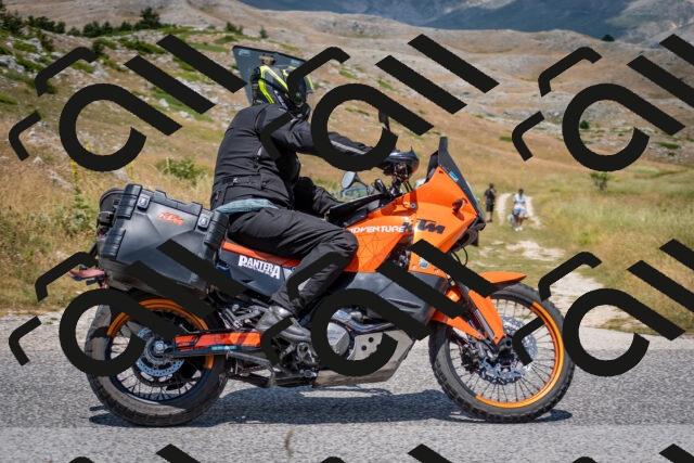 202507051236-DSC_4332_c2