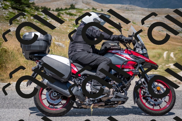 202507051240-DSC_4336_c2