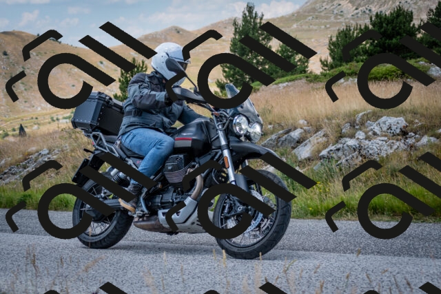 202507051251-DSC_4357_c2