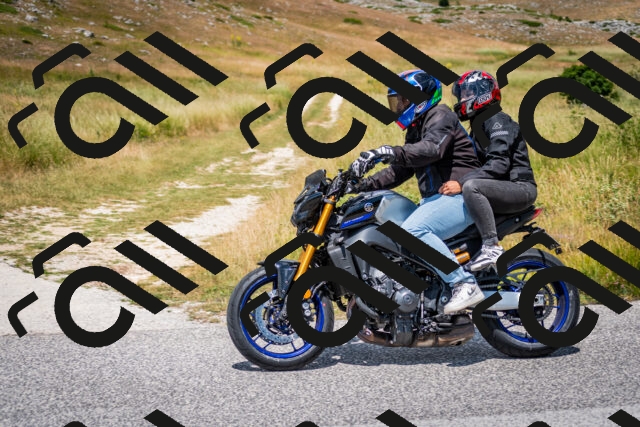 202507051257-DSC_4359_c2