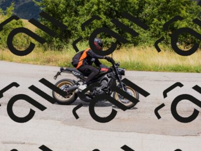 202507051259-_04A7539_c3_