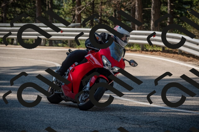 20250706100310-_5007796_am_