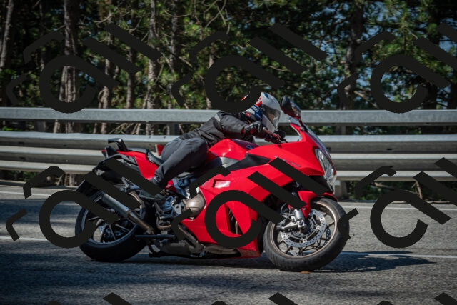 20250706100310-_5007797_am_