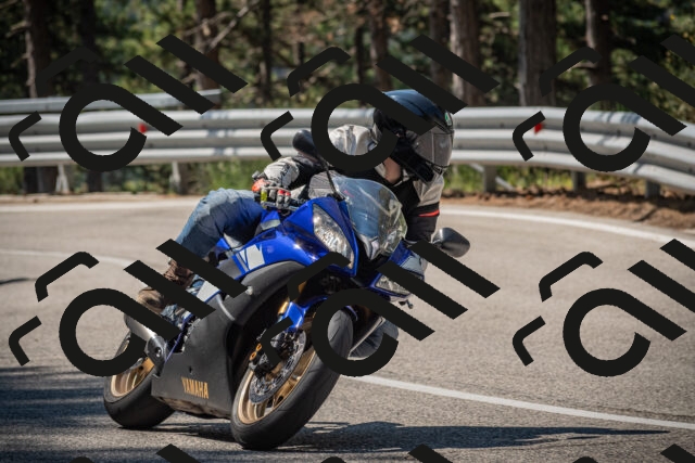 20250706104249-_5008063_am_