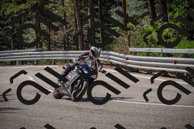 20250706105054-_5008159_am_